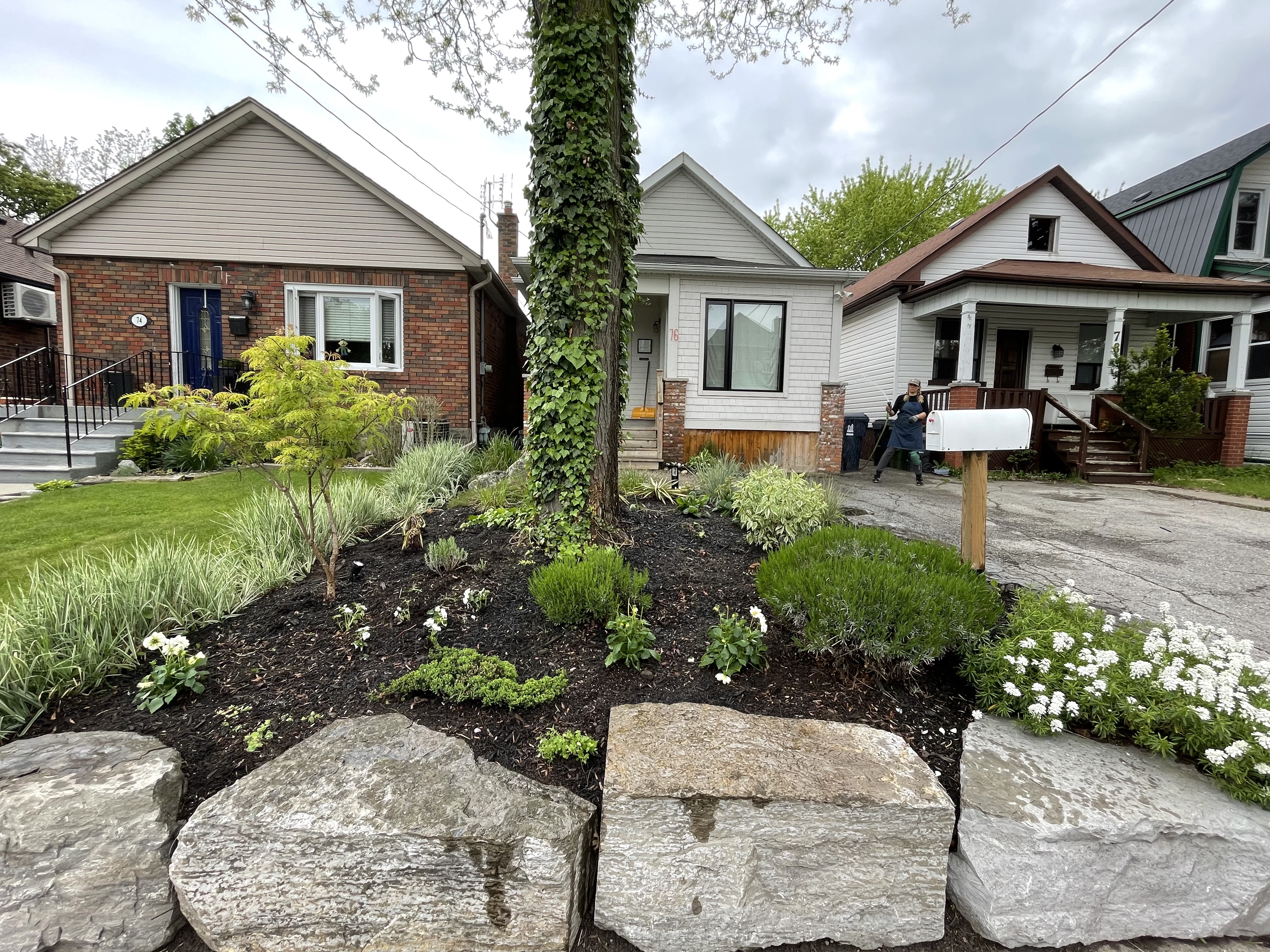 After: structured ecological planting