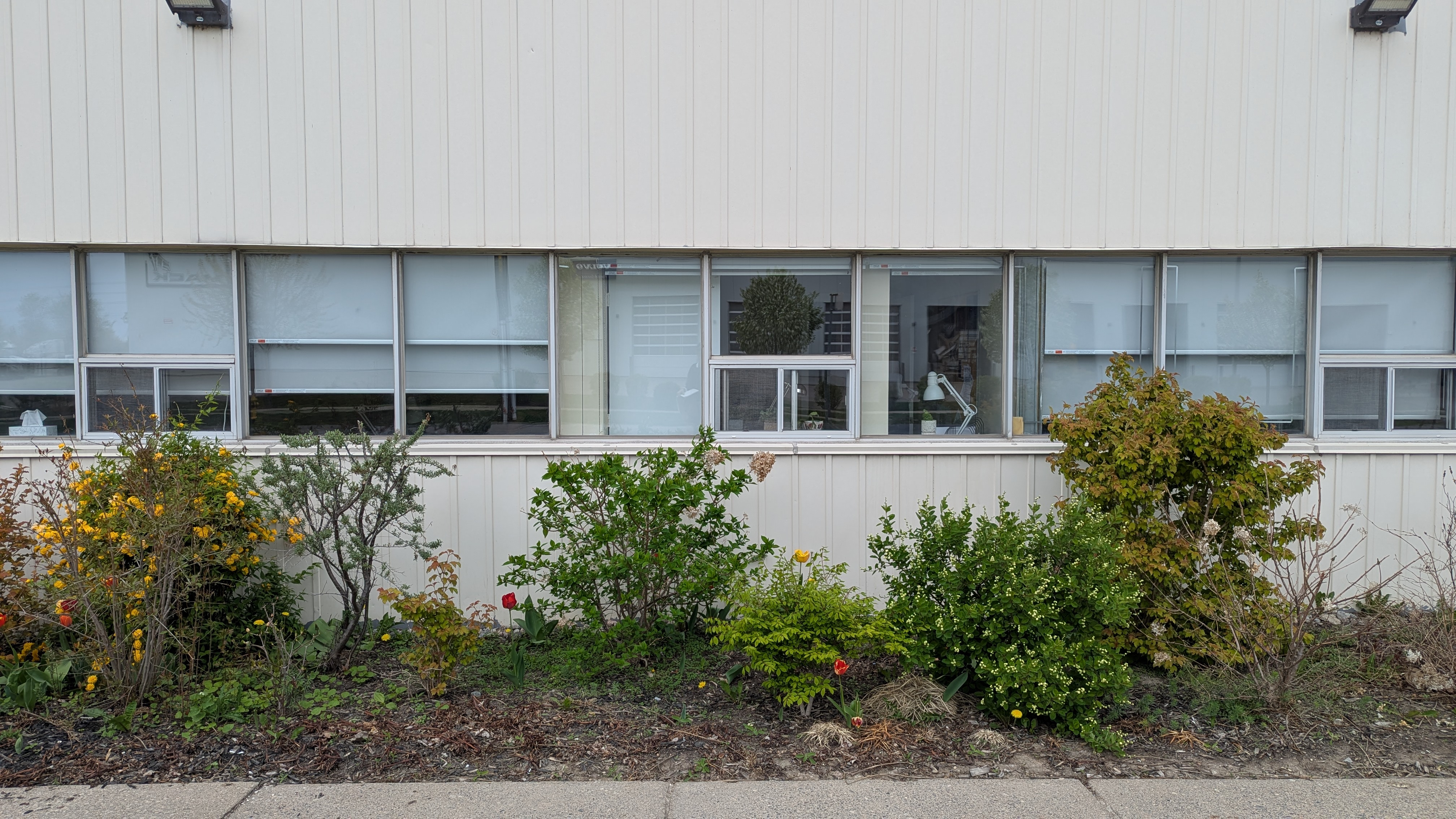 Before: neglected commercial border
