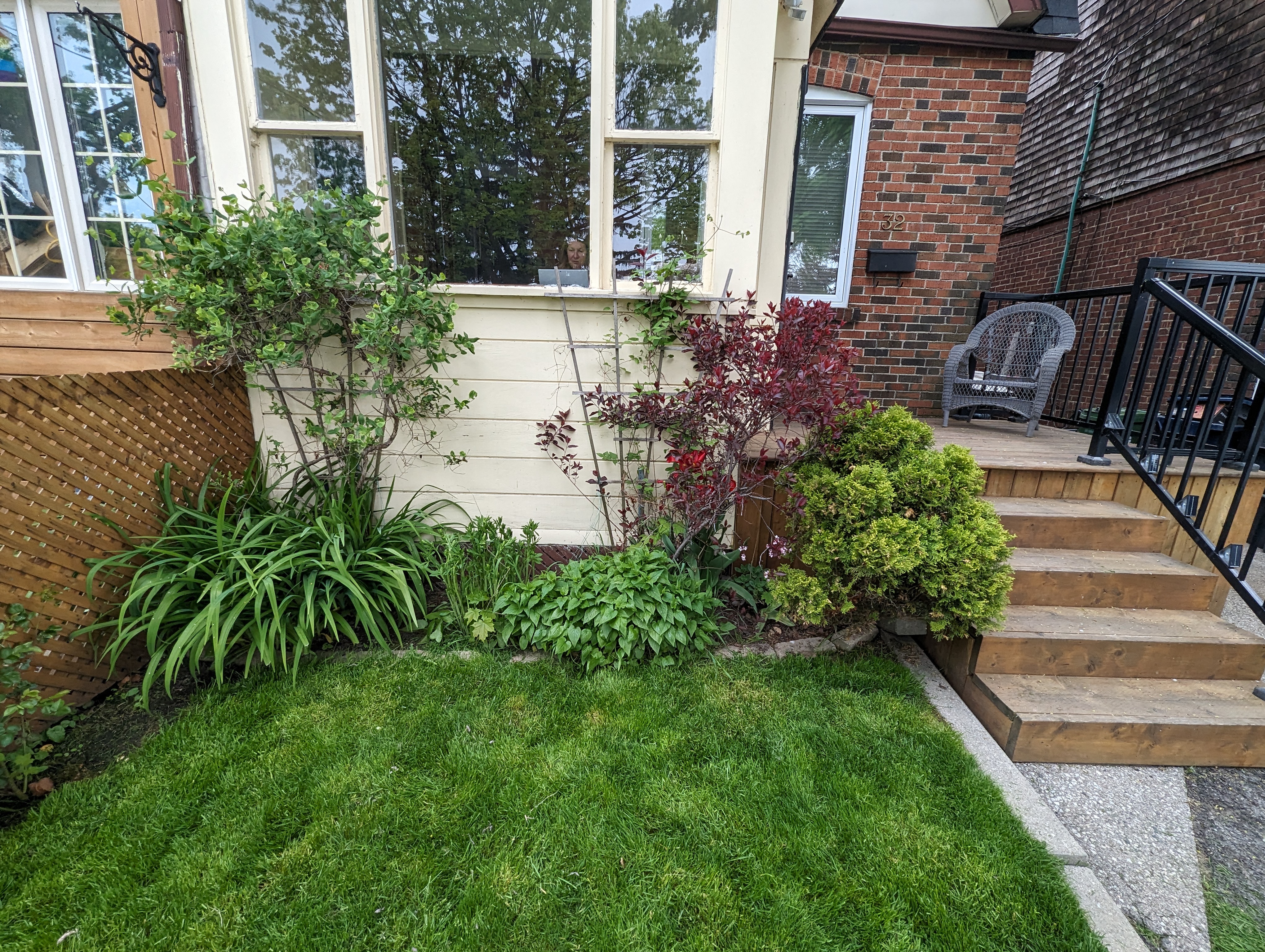 After: colourful cottage planting
